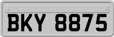 BKY8875