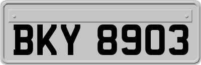 BKY8903