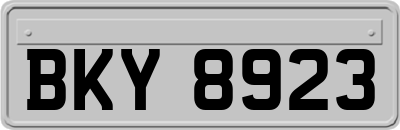 BKY8923