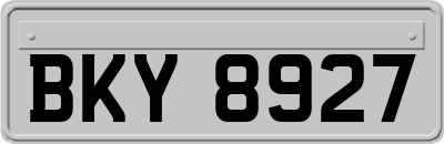 BKY8927