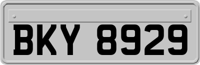 BKY8929