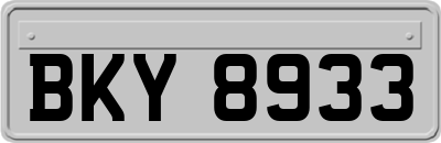 BKY8933