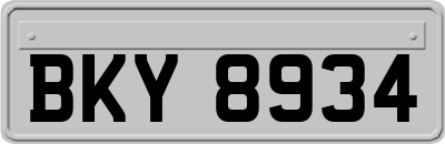 BKY8934