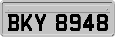 BKY8948
