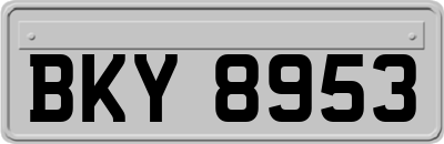 BKY8953