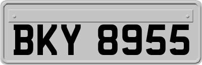 BKY8955