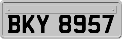 BKY8957