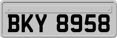 BKY8958