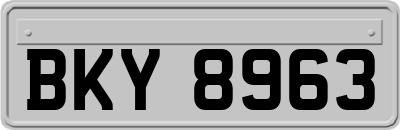 BKY8963