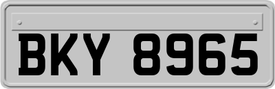 BKY8965