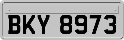 BKY8973