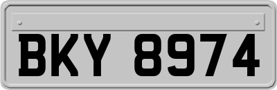 BKY8974