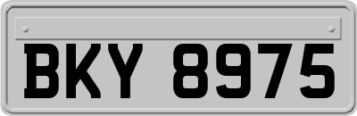 BKY8975
