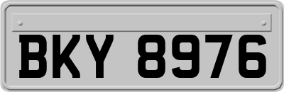 BKY8976