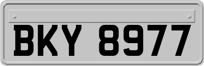 BKY8977