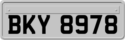 BKY8978