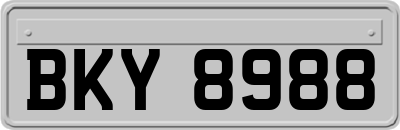 BKY8988