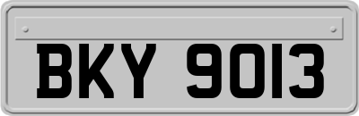 BKY9013