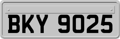 BKY9025