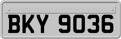 BKY9036