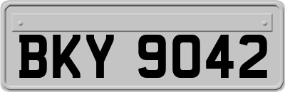 BKY9042
