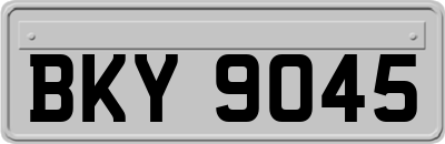 BKY9045
