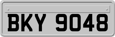 BKY9048