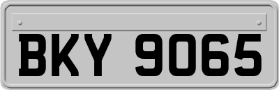 BKY9065