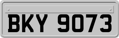 BKY9073