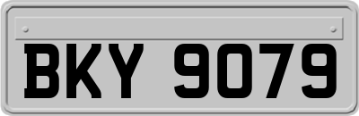 BKY9079