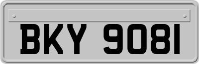BKY9081