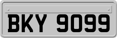 BKY9099