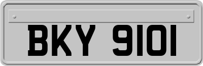 BKY9101