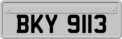 BKY9113