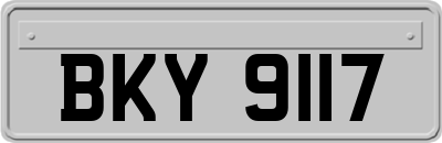 BKY9117