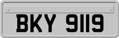 BKY9119