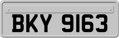 BKY9163