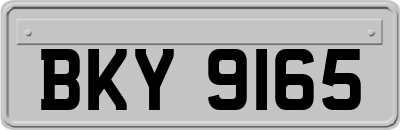 BKY9165