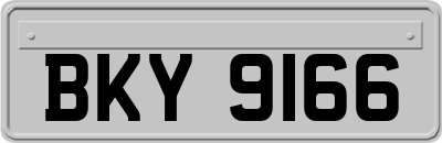 BKY9166