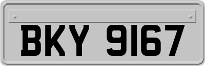BKY9167