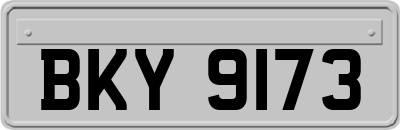 BKY9173