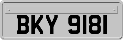 BKY9181
