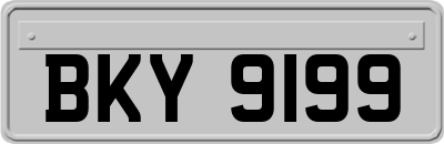 BKY9199