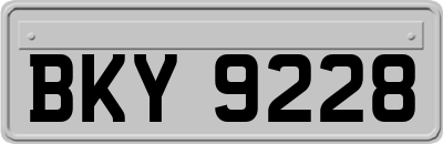 BKY9228