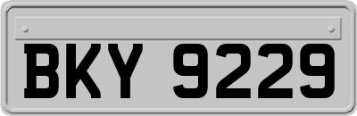 BKY9229