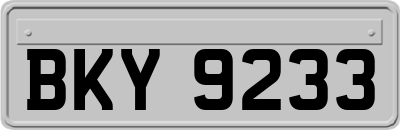 BKY9233
