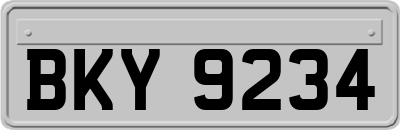 BKY9234