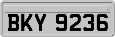 BKY9236