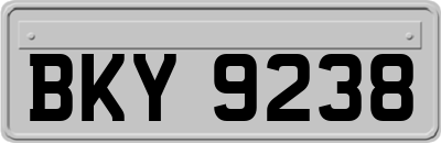 BKY9238