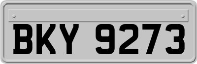 BKY9273